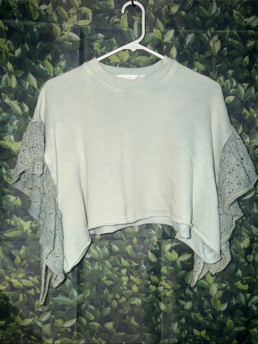 Altar'd State Sage Crochet Ruffle Sleeve Crop Top